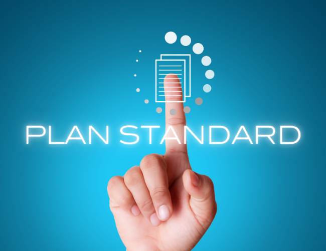 Plan marketing digital standard